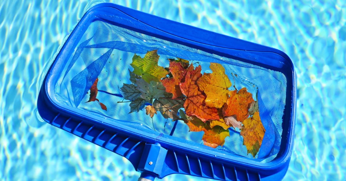 Long handled pool net for skimming leaves.
