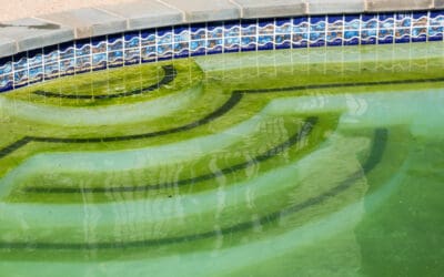 Why does my pool get algae?